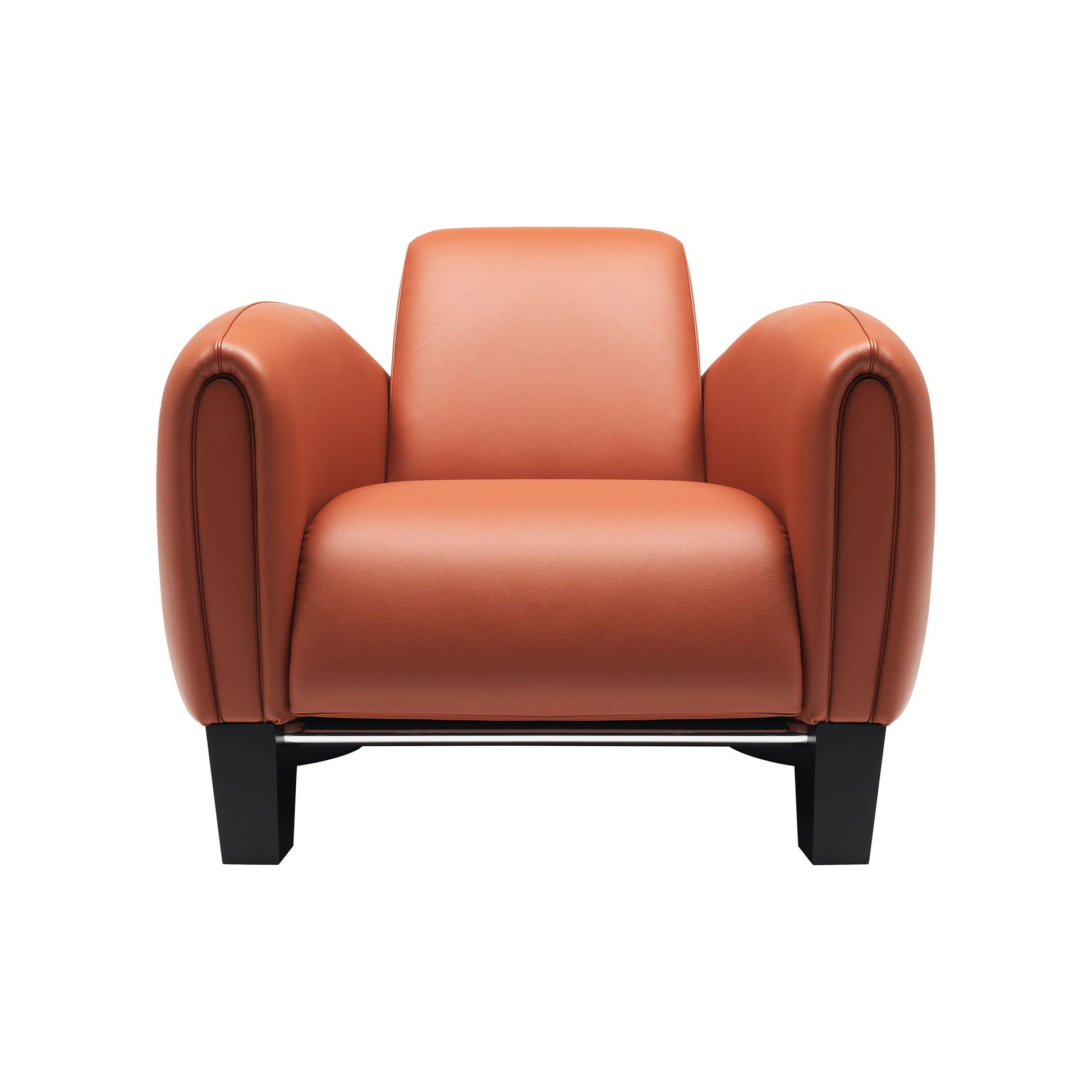 Ds-57 - Leather Armchair by De Sede