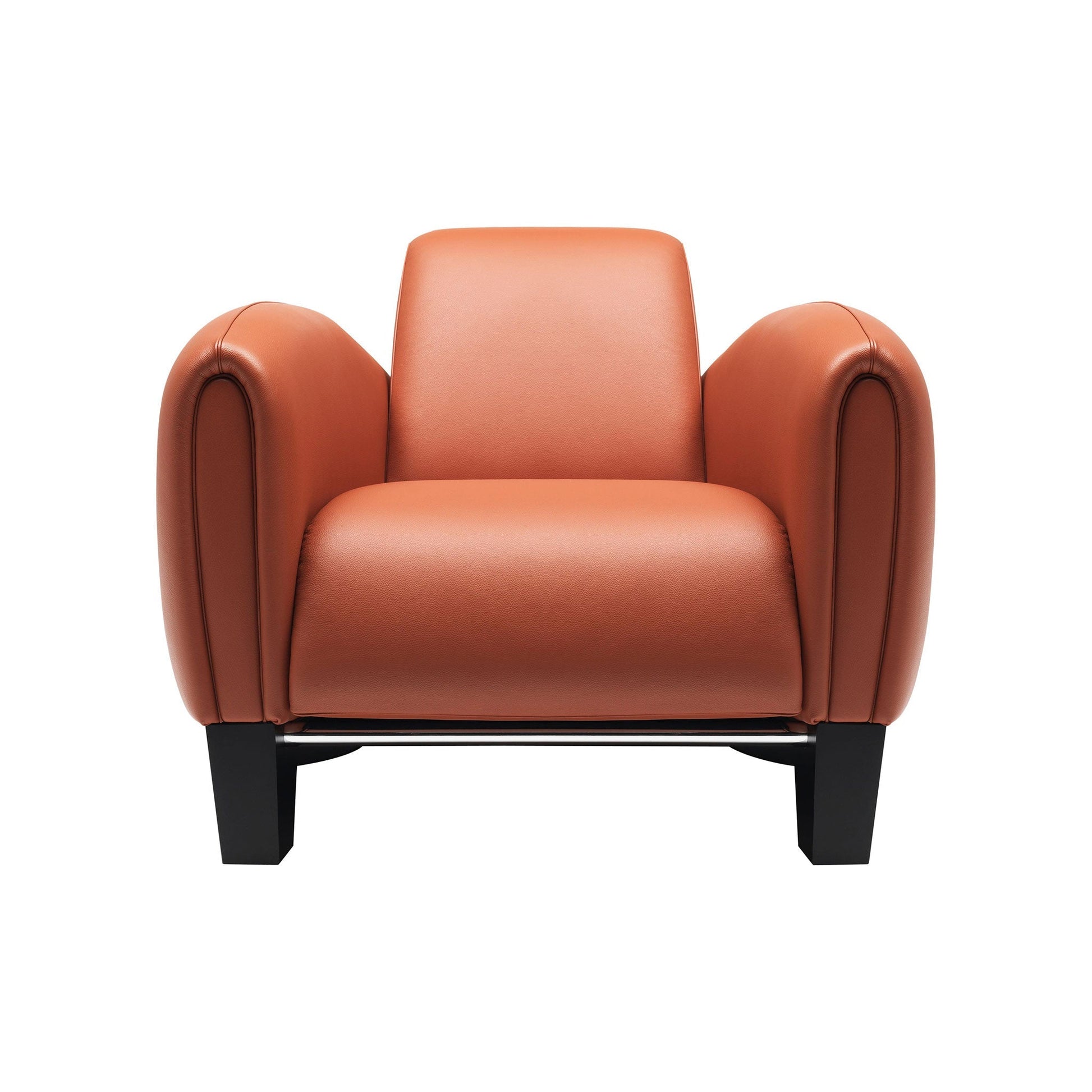 Ds-57 - Leather Armchair by De Sede