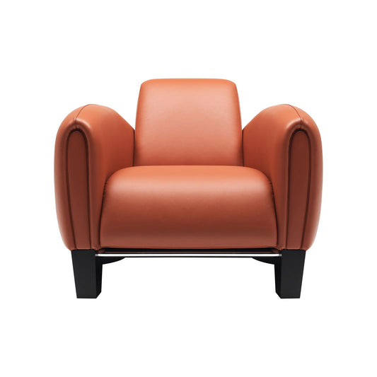 Ds-57 - Leather Armchair by De Sede