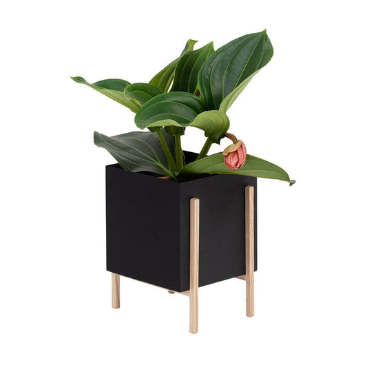 Botanic pot by Design House Stockholm # #