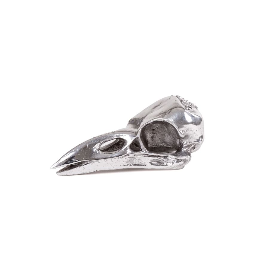 Aluminium Decorative Object Wunderkammer Bird Skull by Seletti