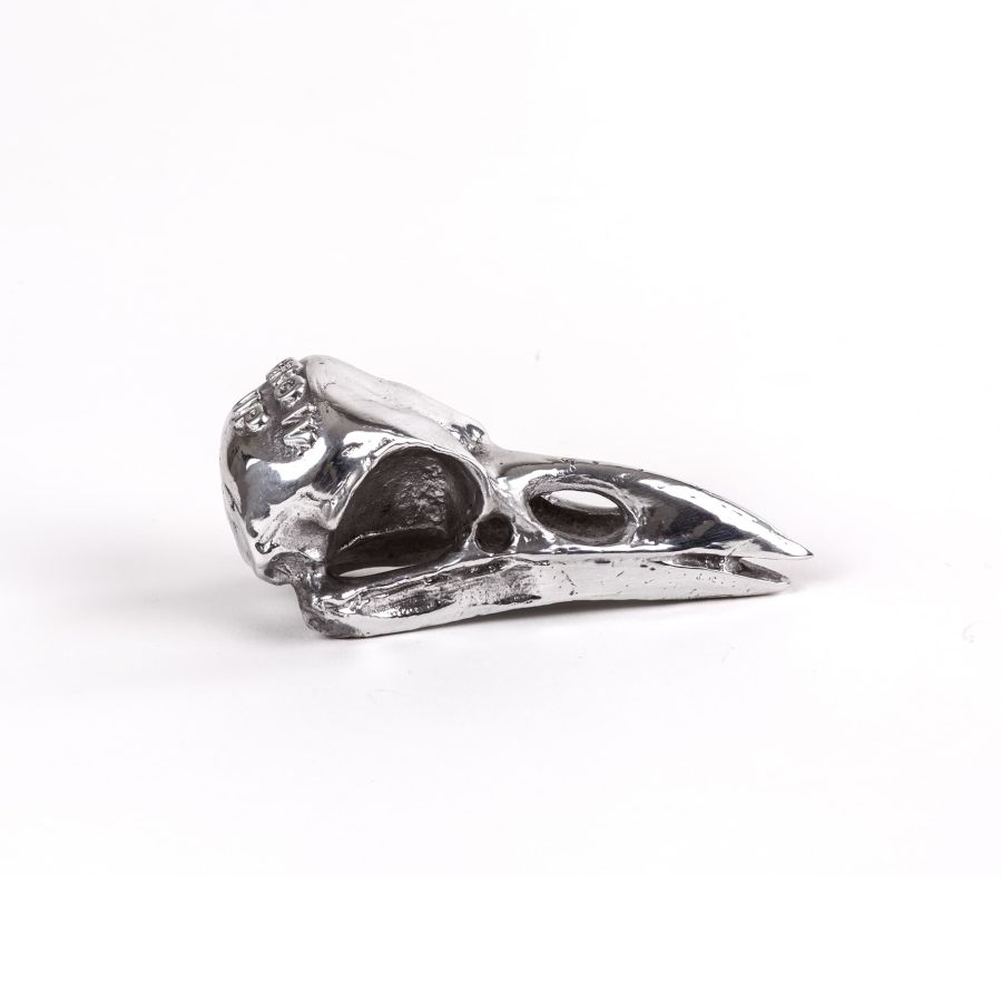 Aluminium Decorative Object Wunderkammer Bird Skull by Seletti