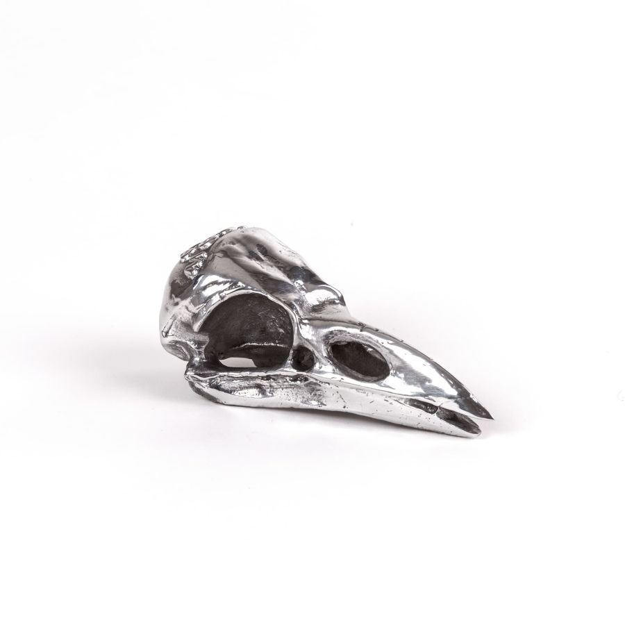 Aluminium Decorative Object Wunderkammer Bird Skull by Seletti