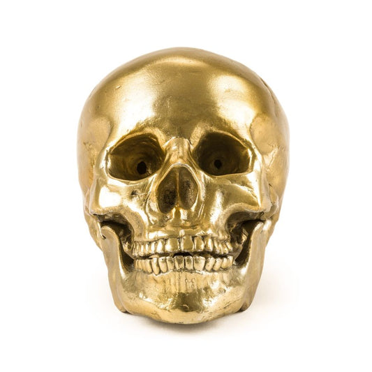 Aluminium Decorative Object Wunderkrammer Human Skull by Seletti