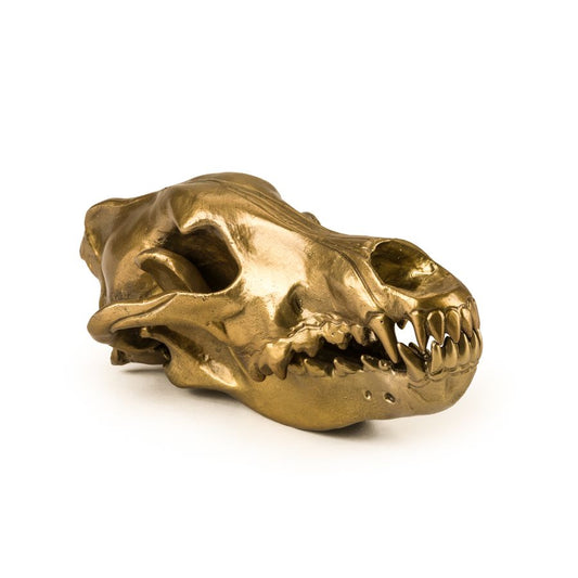 Aluminium Decorative Object Wunderkrammer Wolf Skull by Seletti