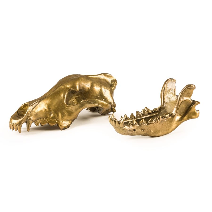 Aluminium Decorative Object Wunderkrammer Wolf Skull by Seletti