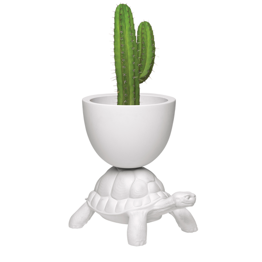 Turtle Carry Planter and Champagne Cooler by Qeeboo