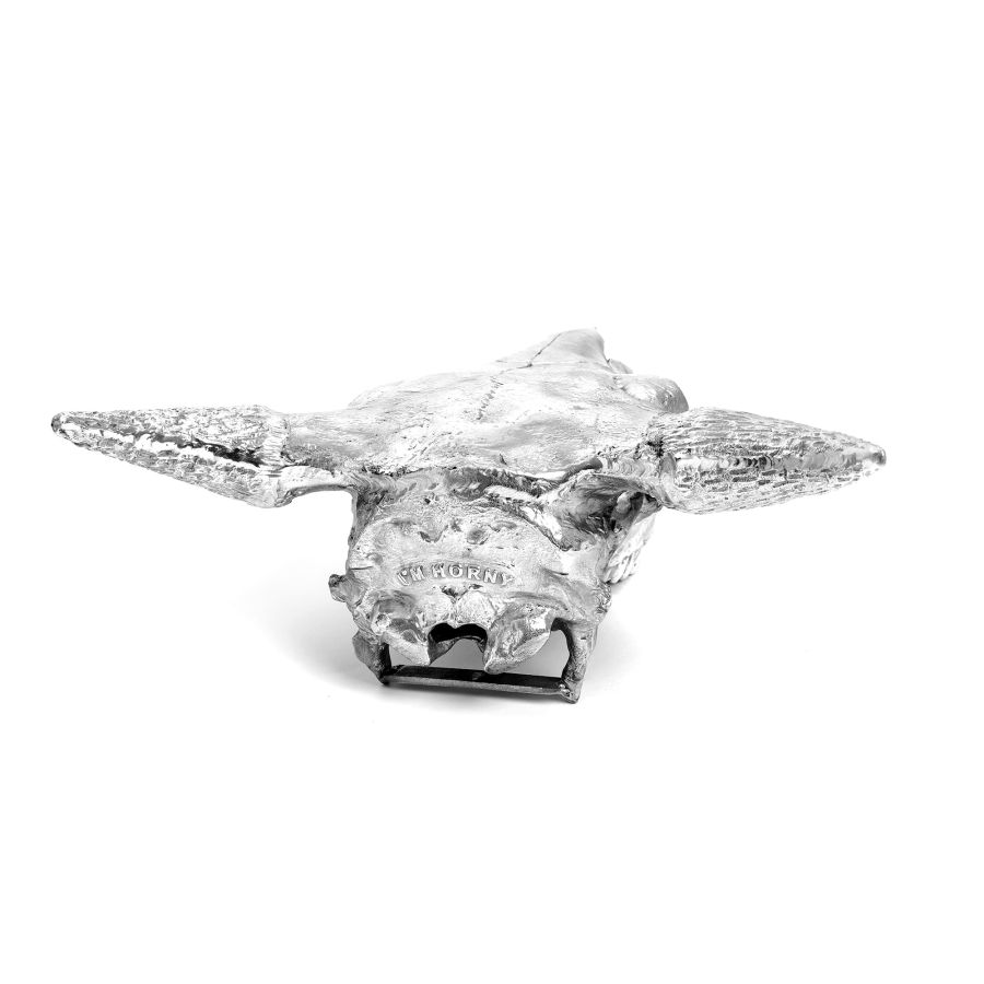 Aluminium Decorative Object Wunderkammer Bison Skull by Seletti