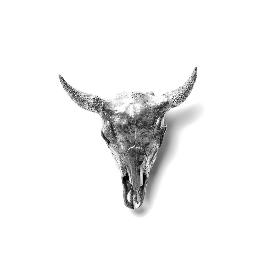 Aluminium Decorative Object Wunderkammer Bison Skull by Seletti