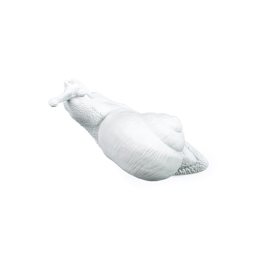 Resin coat hangers Hangers Snail Awake by Seletti #White