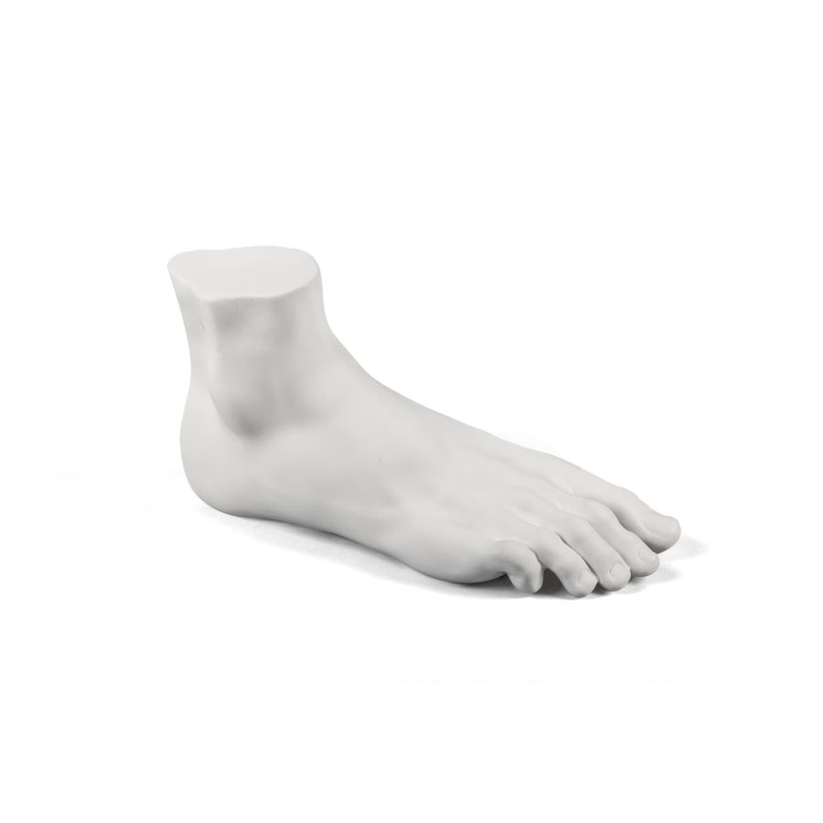 Porcelain Decorative Object Memorabilia Mvsevm Male Foot by Seletti