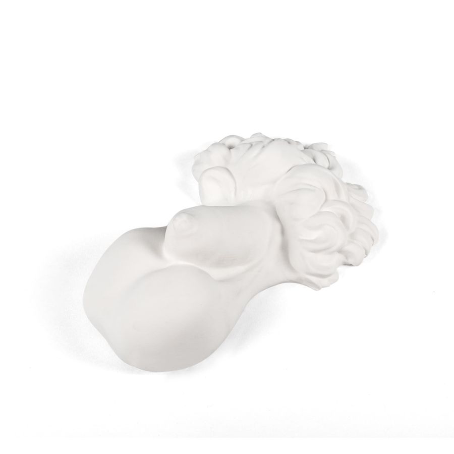 Porcelain Decorative Object Memorabilia Mvsevm Penis by Seletti