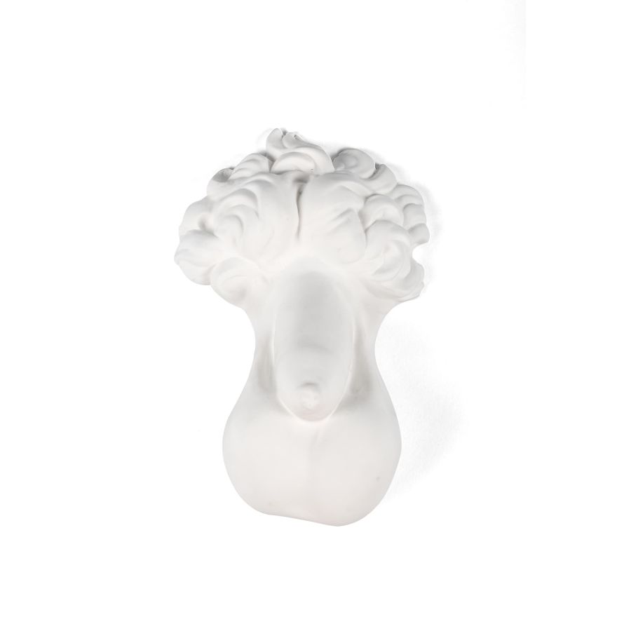 Porcelain Decorative Object Memorabilia Mvsevm Penis by Seletti