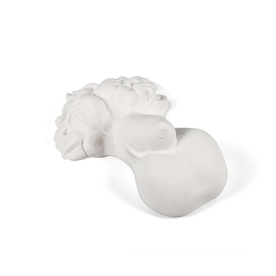 Porcelain Decorative Object Memorabilia Mvsevm Penis by Seletti