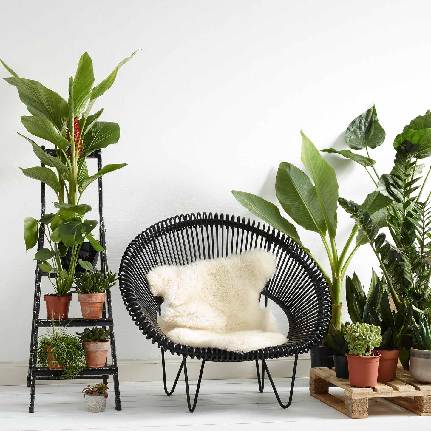 Rattan Armchair With Armrests Cruz Cocoon by Vincent Sheppard #Black Rattan / Black Steel