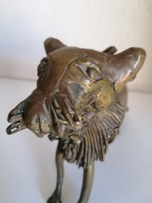 African Bronze Lion-LLP-1187740