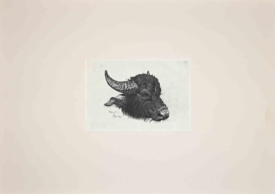 After Charles Coleman, The Buffalo, Etching-ZCI-2025032