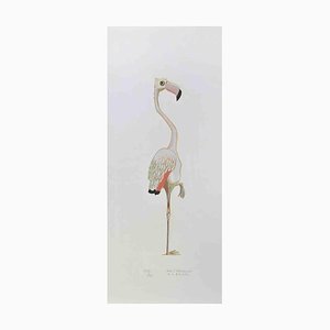 Alberto Mastroianni, Flamingo, Lithograph, 1970s-ZCI-1788692