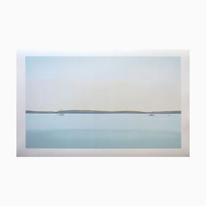 Alex Katz, Landscape, 26 Color Silkscreen, 2017-PLZ-857363