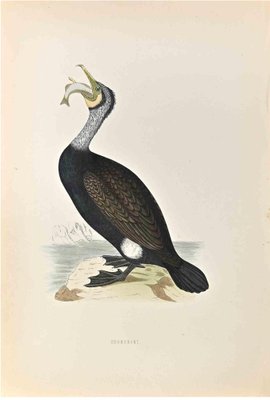 Alexander Francis Lydon, Cormorant, Woodcut Print, 1870-ZCI-1759131