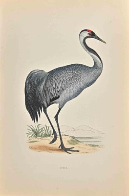 Alexander Francis Lydon, Crane, Woodcut Print, 1870-ZCI-1403476