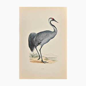 Alexander Francis Lydon, Crane, Woodcut Print, 1870-ZCI-1403476