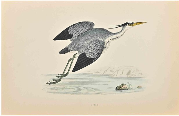 Alexander Francis Lydon, Heron, Woodcut Print, 1870-ZCI-1758986