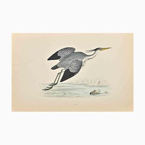 Alexander Francis Lydon, Heron, Woodcut Print, 1870-ZCI-1758986