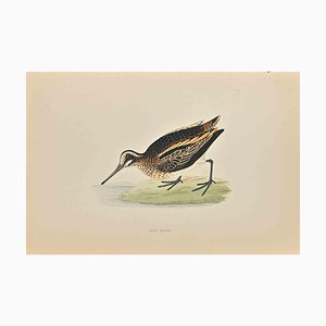 Alexander Francis Lydon, Jack Snipe, Woodcut Print, 1870-ZCI-1759064