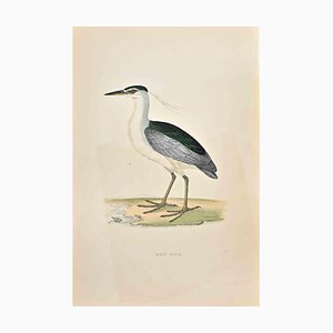 Alexander Francis Lydon, Night Heron, Woodcut Print, 1870-ZCI-1403474