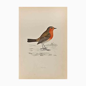 Alexander Francis Lydon, Redbreast, Woodcut Print, 1870-ZCI-2025083