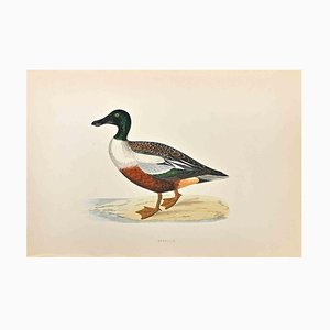 Alexander Francis Lydon, Shoveler, Woodcut Print, 1870-ZCI-1759093