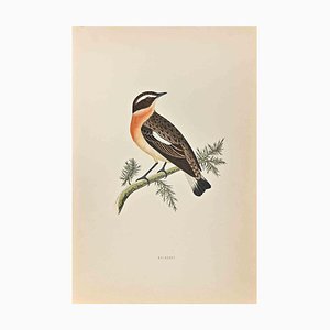 Alexander Francis Lydon, Winchat, Woodcut Print, 1870-ZCI-1758935