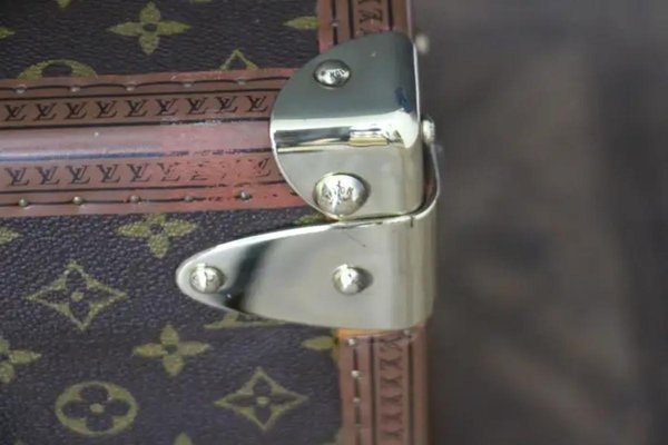 Alzer 80 Suitcase from Louis Vuitton-YF-1786623