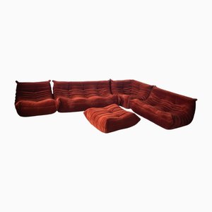 Amber Corduroy Togo Living Room Set by Michel Ducaroy for Ligne Roset, Set of 5-IXA-1796545