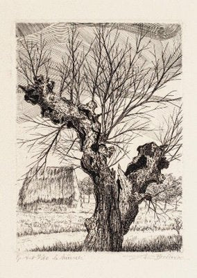 André Roland Brudieux - The Oak - Etching - 1960s-ZCI-850652