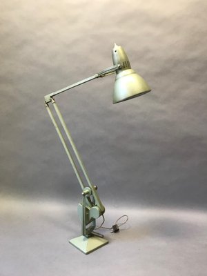 Anglepoise Table Lamp, 1950s-EK-667387