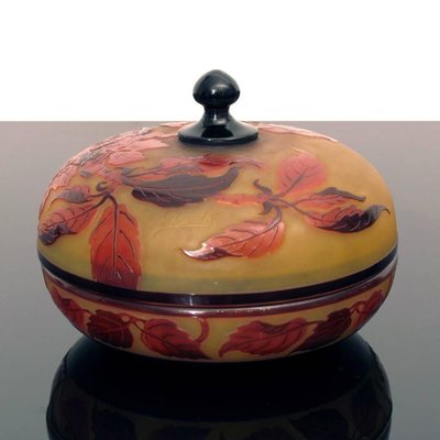 Antique Art Nouveau Cameo Glass Box by D'Argental-YGE-590371