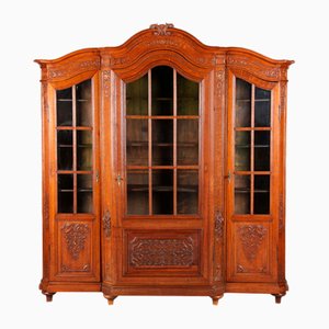 Antique Baroque Oak 3-Door Display Case with Carvings, Aachen Lüttich, 19th Century-DXD-1148204