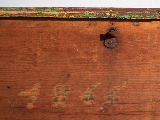 Antique Bedroom Trunk with Green Patina, 1866-ZNJ-2033640