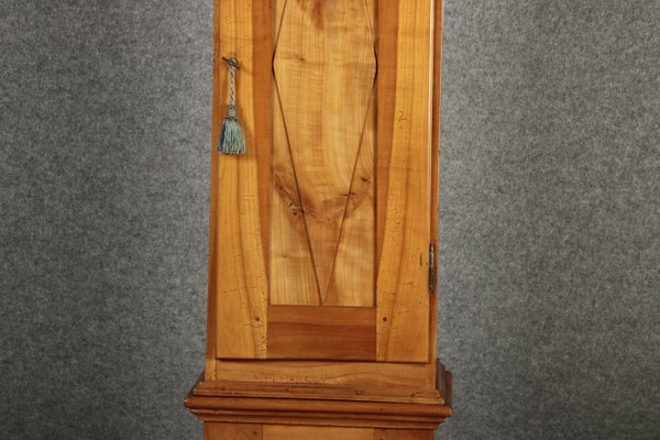 Antique Biedermeier Grandfather Clock in Cherry Tree, 19th Century-DXD-2021420