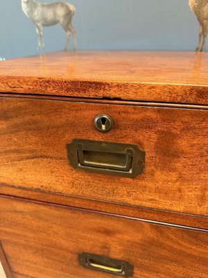 Antique Campaign Chest of Drawers-CUP-2032413