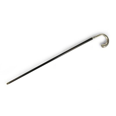 Antique Cane in Silver-NQ-641162