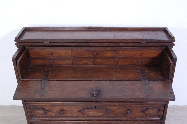 Antique Canterano Chest of Drawers in Walnut, 1700s-XSG-1386036