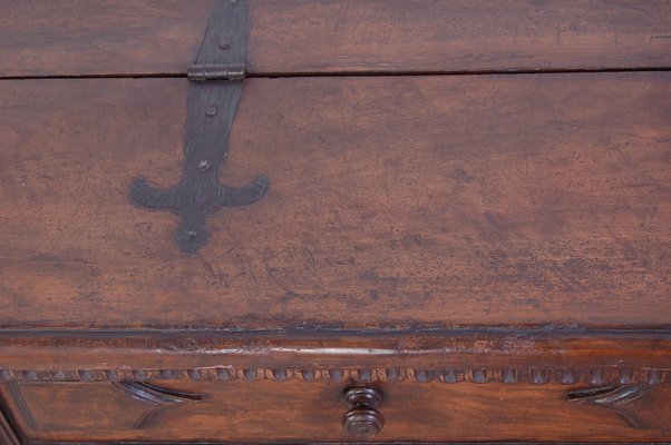 Antique Canterano Chest of Drawers in Walnut, 1700s-XSG-1386036