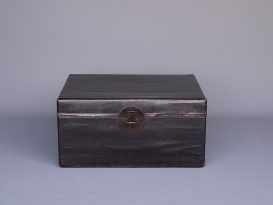 Antique Chinese Linen Trunk Chest-MB-1174894