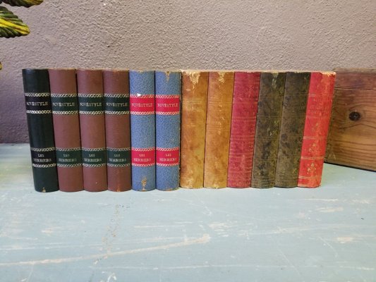 Antique Decorative Books, Set of 2-AIU-821817