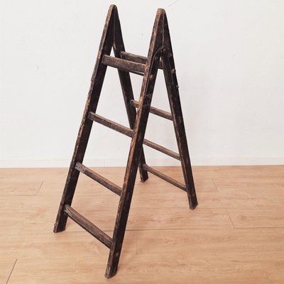 Antique Decorative Wooden Ladder, 1910s-WK-2024706