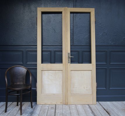 Antique Double Door in Pine, 1890s-TAT-1767899