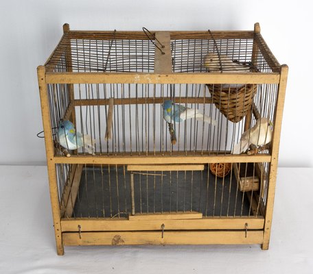 Antique French Country Poplar & Iron Bird Cage, 1900-RIU-1433131